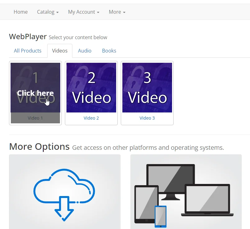 Web Player with group content displayed